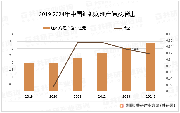 2019-2024年中国组织病理产值及增速
