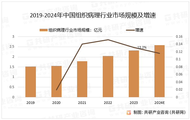 2019-2024年中国组织病理行业市场规模及增速