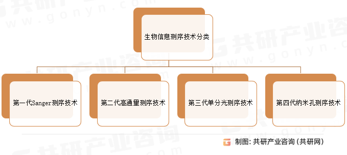 生物信息测序技术分类