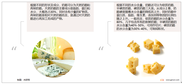 奶酪分类