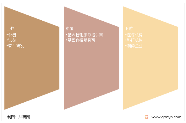 基因检测行业产业链