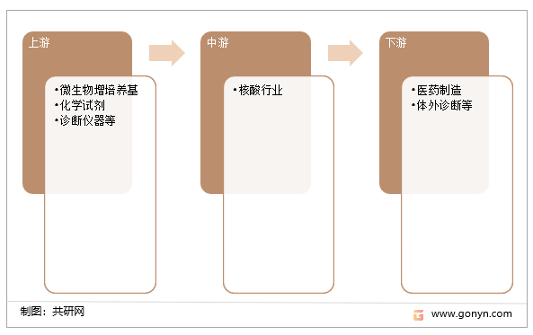 核酸行业产业链