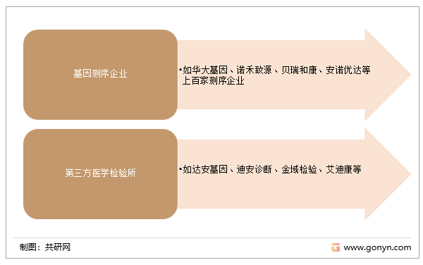 肿瘤基因测序服务商主要分类