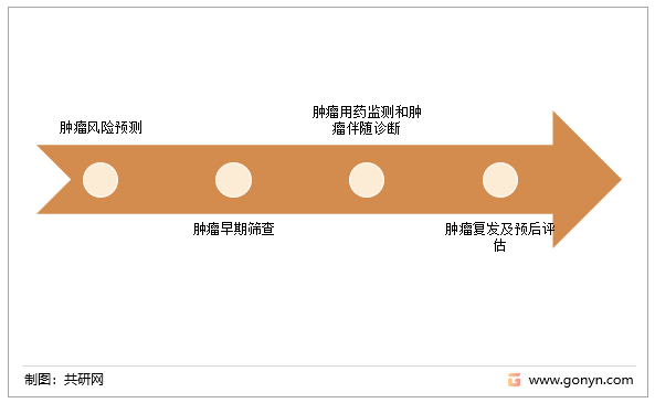 肿瘤基因检测（按照肿瘤疾病进展排序）