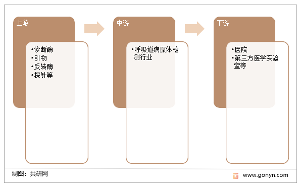 呼吸道病原体检测产业链