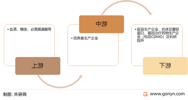 中国培养基产业链