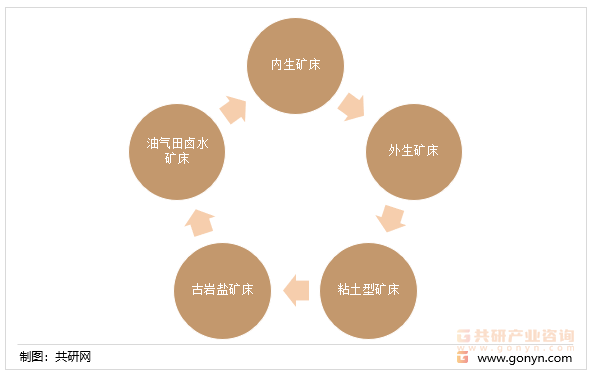 锂资源丰富矿床类型