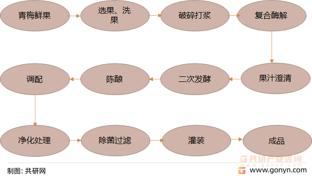青梅酒生产工艺流程