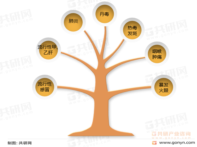 板蓝根功能主治