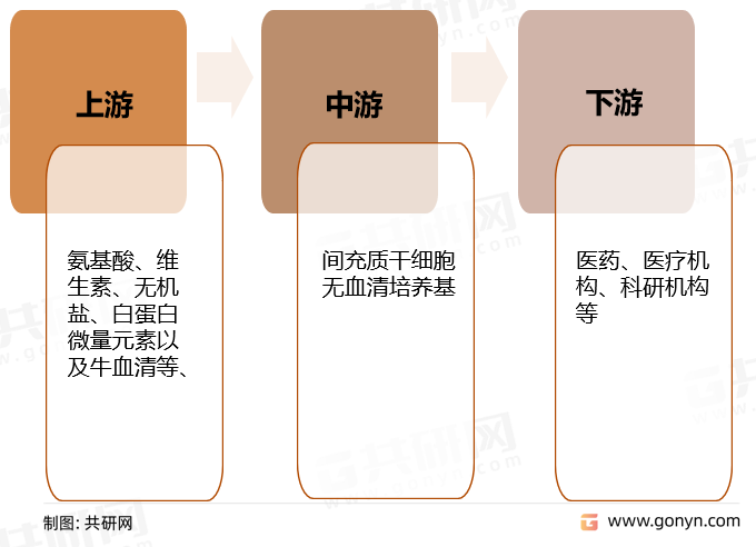 间充质干细胞无血清培养基产业链示意图