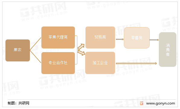 苹果产业链结构