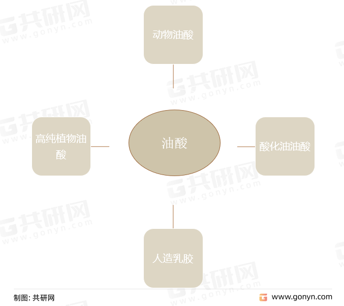 油酸的分类