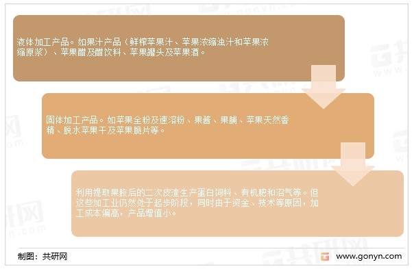 苹果除了鲜食外，还可以将它加工成各种各样的产品，比如常见的罐头、果脯、果醋、果酒等等。在美国，苹果产后通常有一半鲜食；约1／5用以制醋、果汁、果冻、苹果泥等。目前，我国市场上已有的初加工产品可以分为三大类：