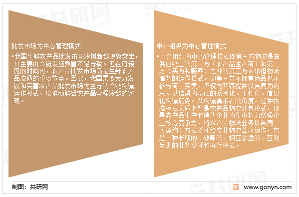 中国苹果物流管理模式分析