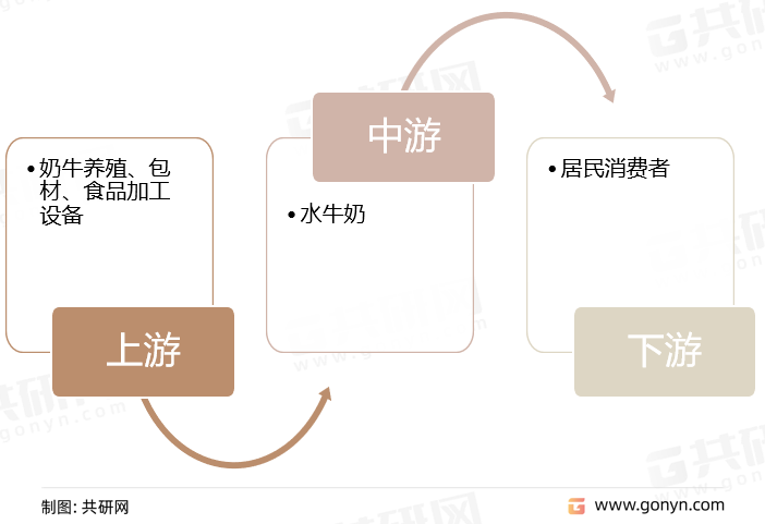 水牛奶产业链示意图