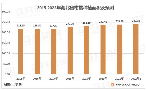 2015-2022年湖北省柑橘种植面积及预测