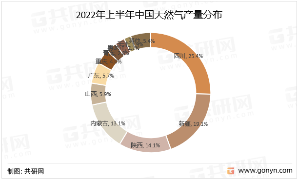 2022年上半年中国天然气产量分布