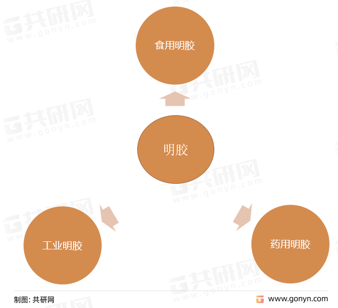明胶按用途分类
