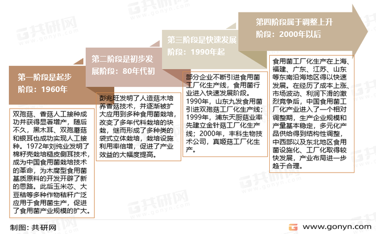 中国食用菌行业发展历程