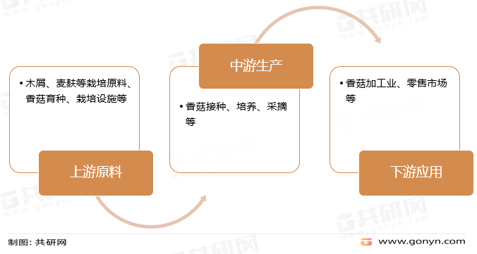 香菇种植产业链