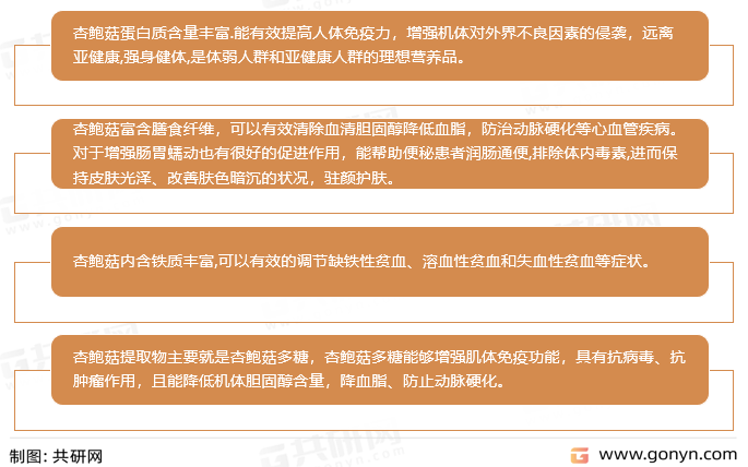 杏鲍菇的营养与作用