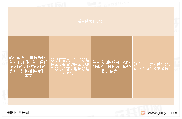 国际营养学界普遍认可的定义是：益生菌系一种对人体有益的细菌，它们可直接作为食品添加剂服用，以维持肠道菌群的平衡。迄今为止，科学家已发现的益生菌大体上可分成三大类，其中包括：