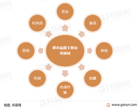 聚谷氨酸主要应用领域