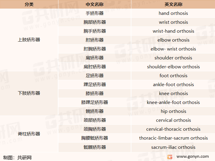 矫形器的分类和命名