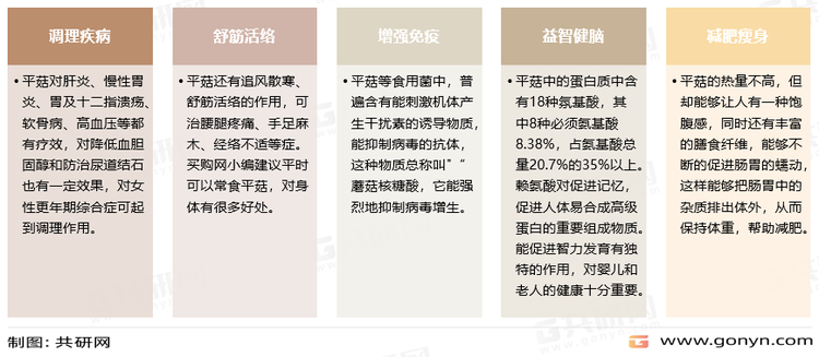 平菇的功效与作用