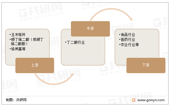 丁二酸行业产业链结构
