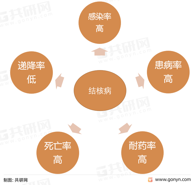 结核病特点