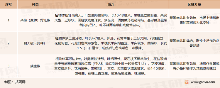 辣椒属下种类