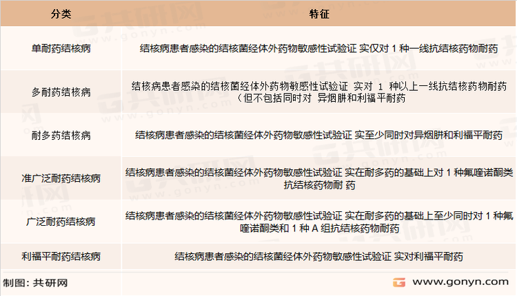 耐药结核病的分类及其特征