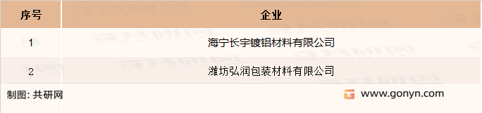 VM真空镀铝膜主要企业