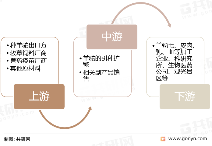 羊驼养殖行业产业链