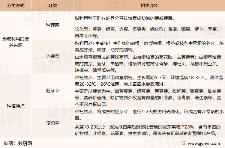 芽苗菜分类表