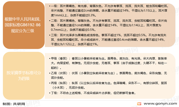 木耳质量分级