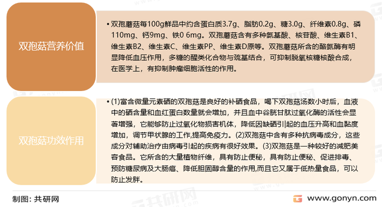 双孢菇营养功效