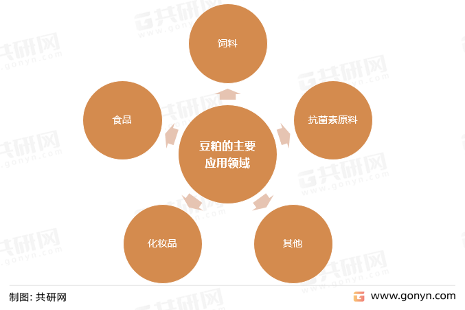 豆粕的主要应用领域