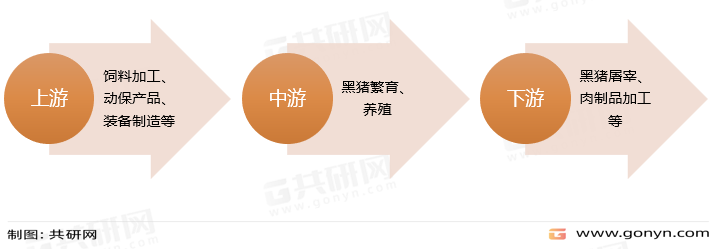 黑猪产业链