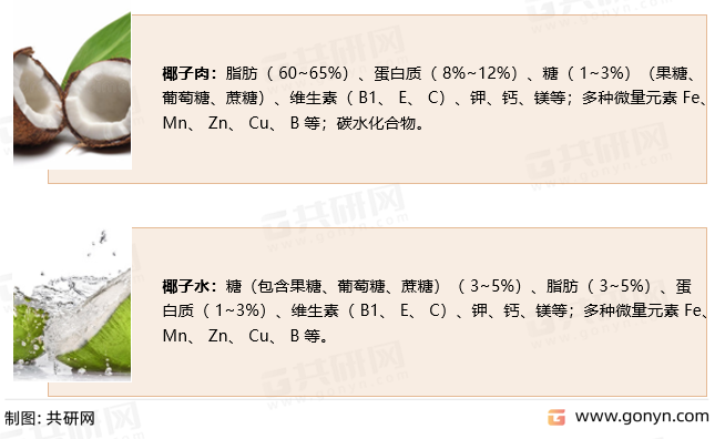 椰子主要营养成分