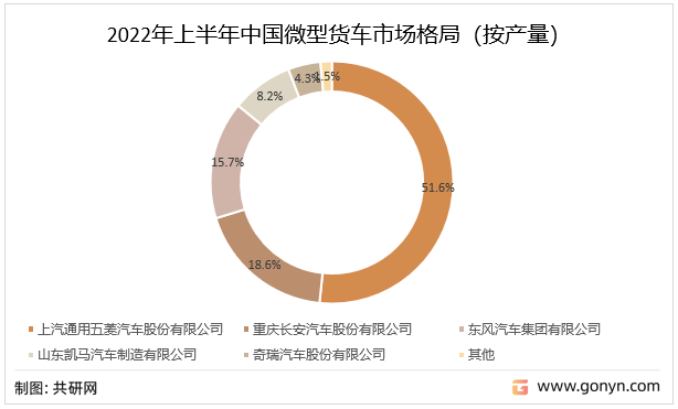 2022年上半年中国微型货车市场格局（按产量）