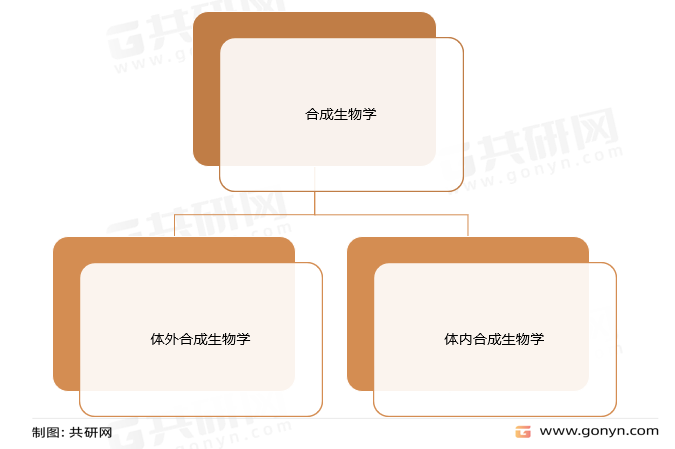 合成生物学分类