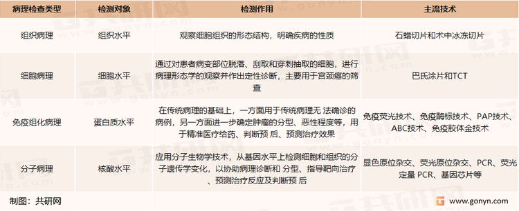 病理检查的分类