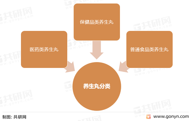 养生丸分类