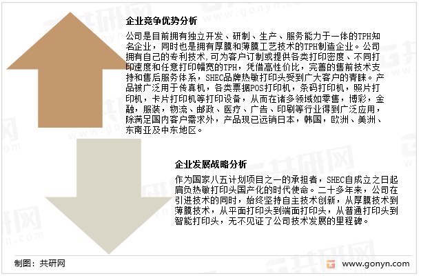 山东华菱电子企业竞争优势及发展战略