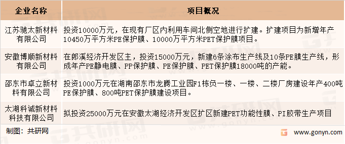 2022年新建部分PET保护膜投资项目情况如下：