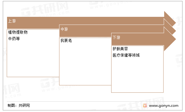 抗衰老产业链