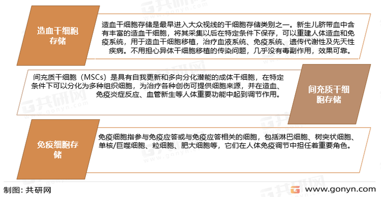 细胞存储的分类