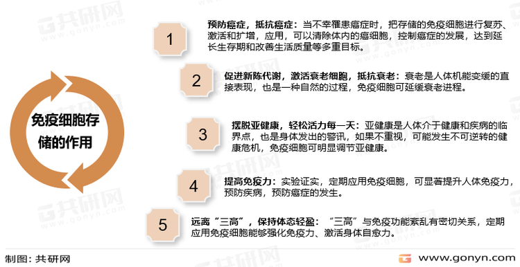 免疫细胞存储的作用